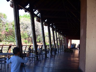 20090810041356 - Open-Air Dining Terrace at Letaba Camp