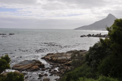 20090820035349 - Lions Head Mountain from Rocky Beach