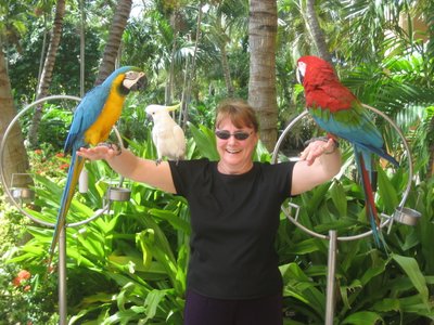 Kathy Queen Of Toucans